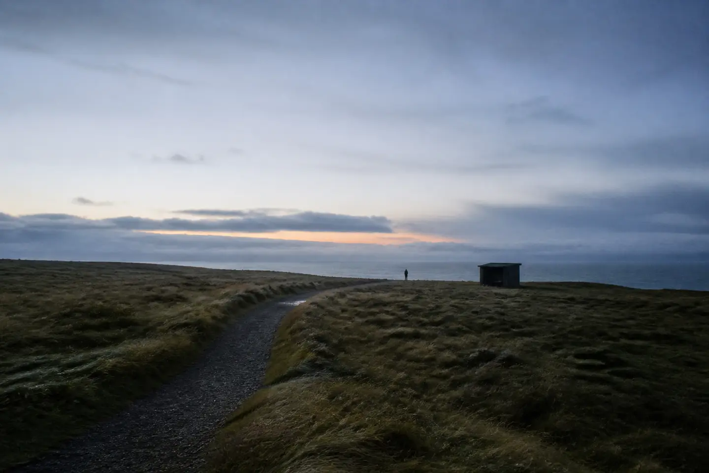 Low coastal path through wind-shaped grass under blue dawn light