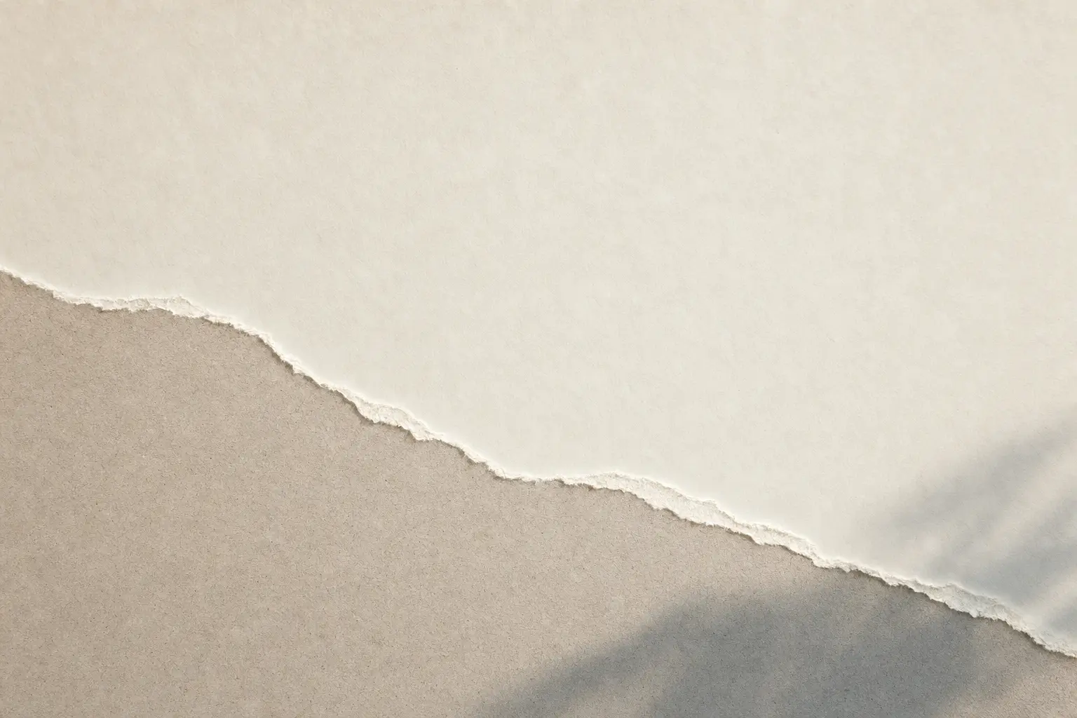 Deckled pale paper edge crossing a cool gray shadow.