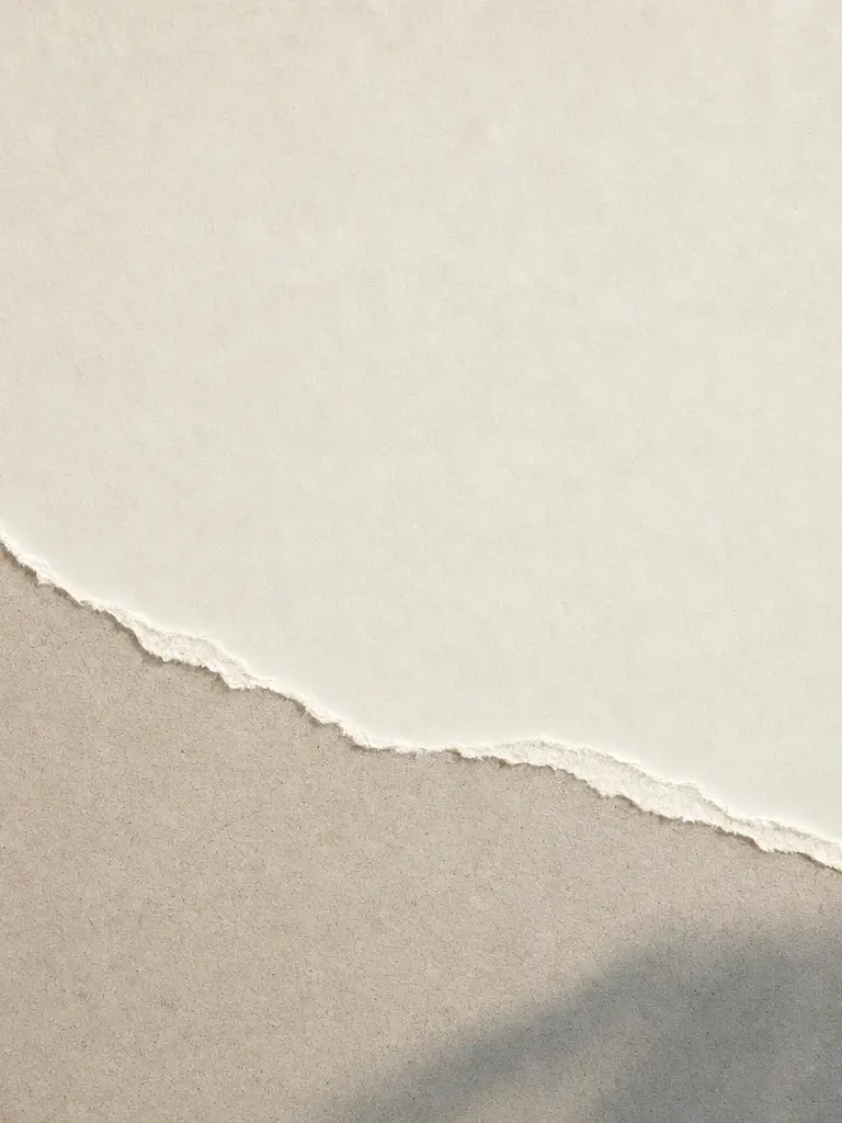 Deckled pale paper edge crossing a cool gray shadow. Portrait crop.