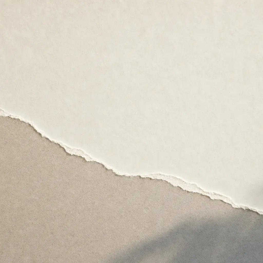 Deckled pale paper edge crossing a cool gray shadow. Square crop.