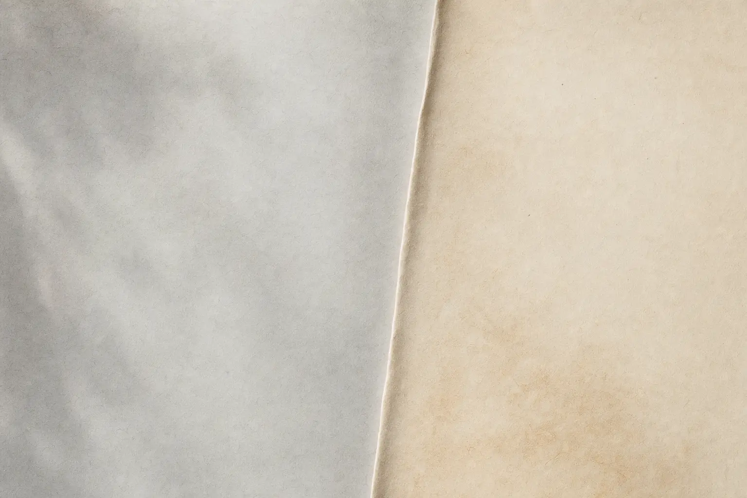 Cool gray and warm cream paper fields meeting along a soft vertical fold.